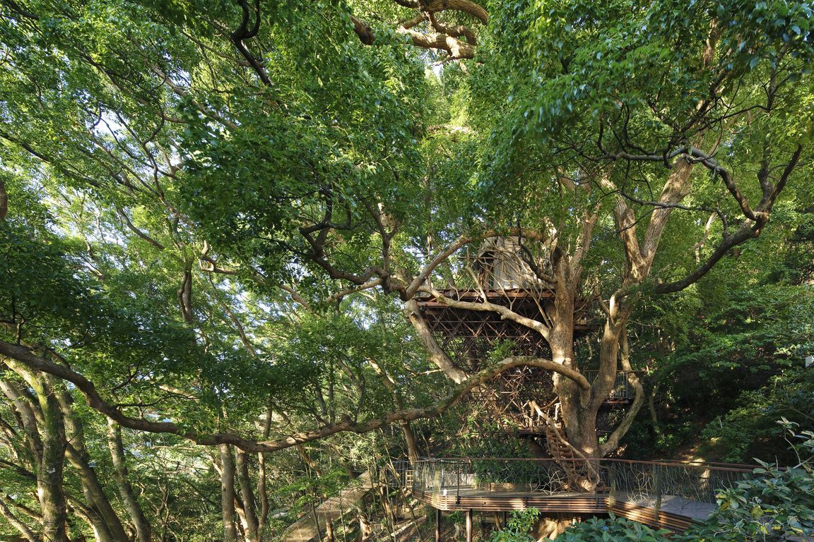 treehouse_001.jpg