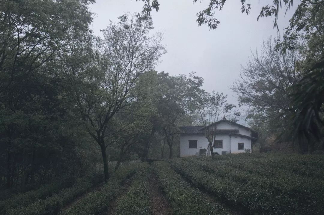 杭州网红建筑们的正确打开方式