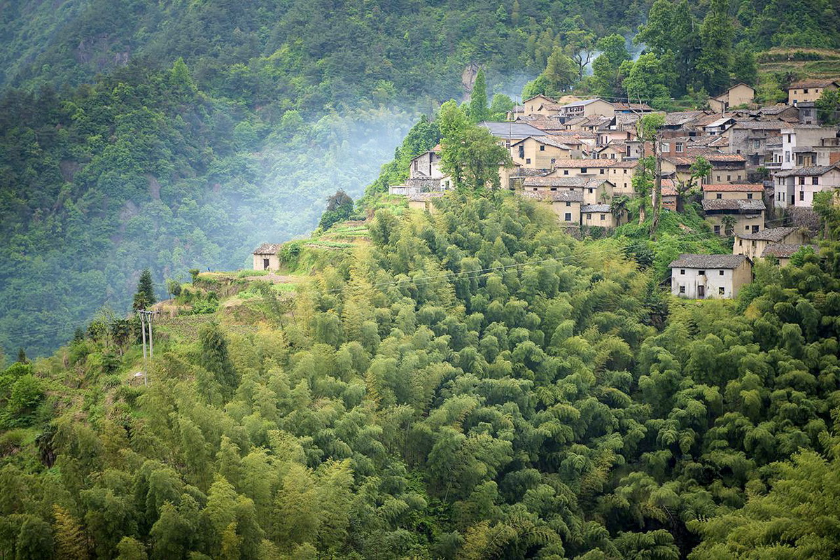 调整大小 松阳，Songyang.书生.jpg