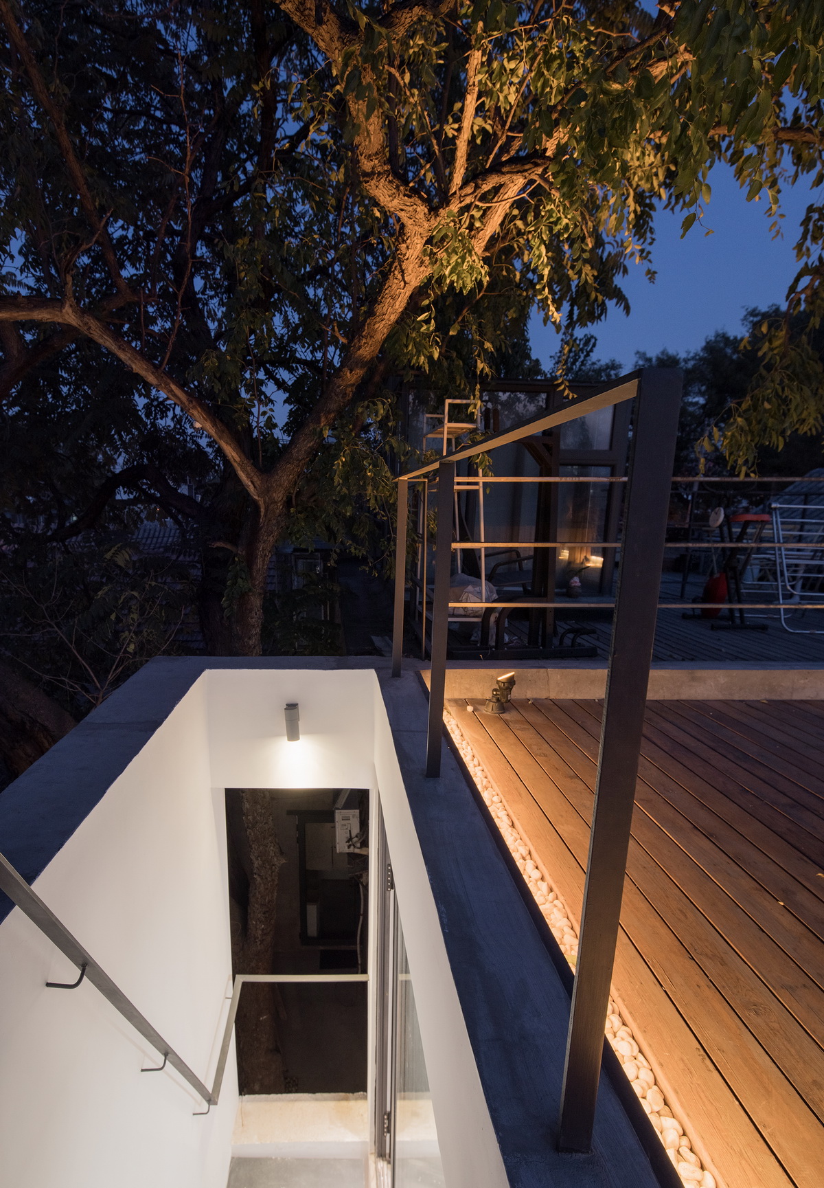 调整大小 楼梯间回看枣树 .陈培新 Looking from the stairs to the jujube tree.jpg