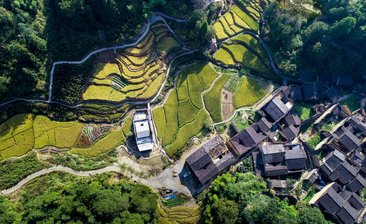 调整大小 01 鸟瞰 .卓育兴 Aerial view .ZHUO Yuxing.jpg