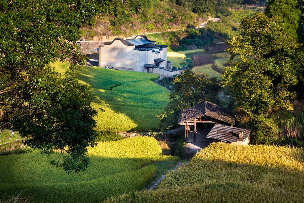 调整大小 03 鸟瞰 .卓育兴 Aerial view .ZHUO Yuxing.jpg