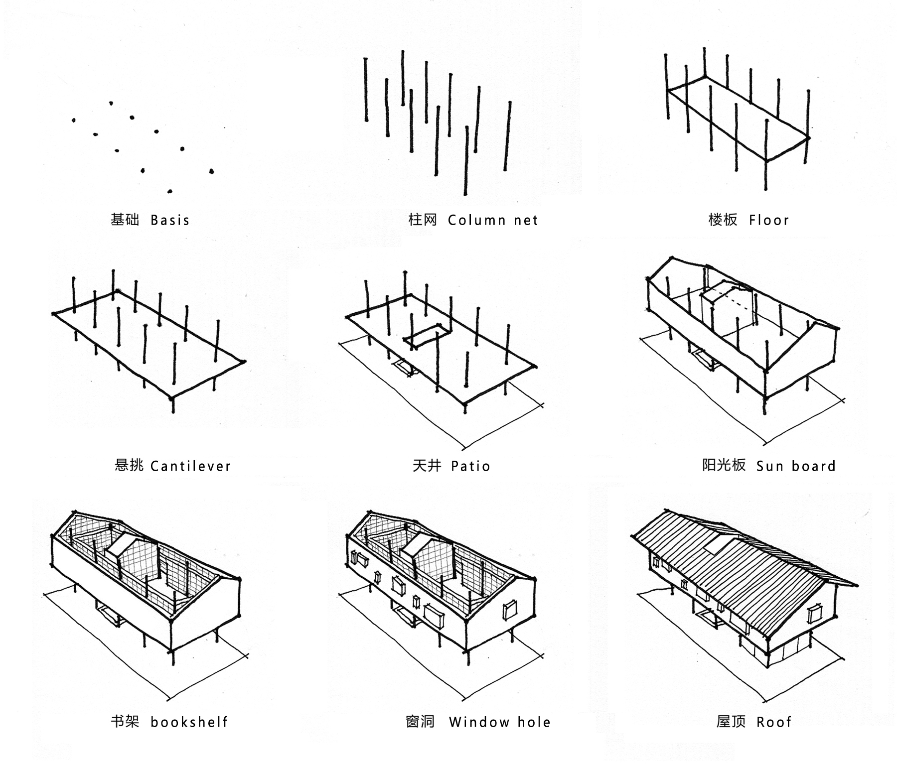 34.形态演变 Morphological evolution.jpg