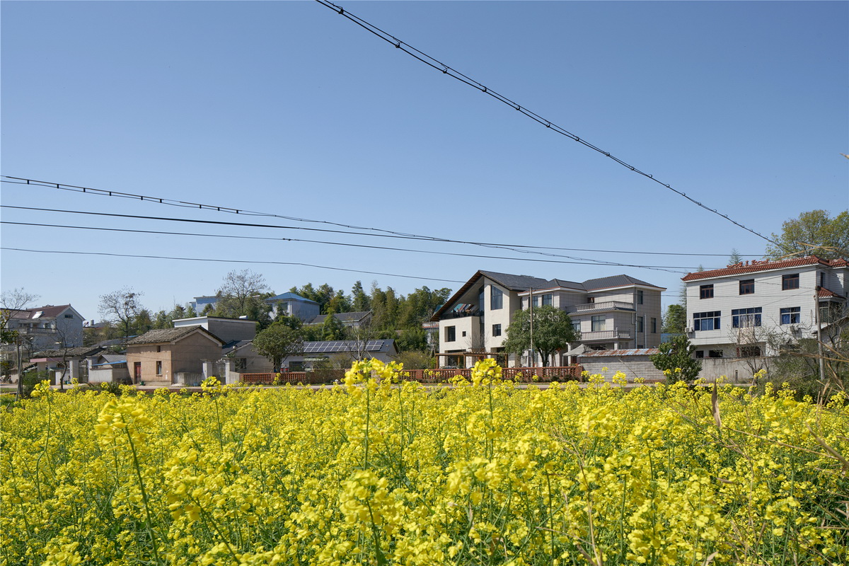 e1 油菜花中的建筑_调整大小.jpg