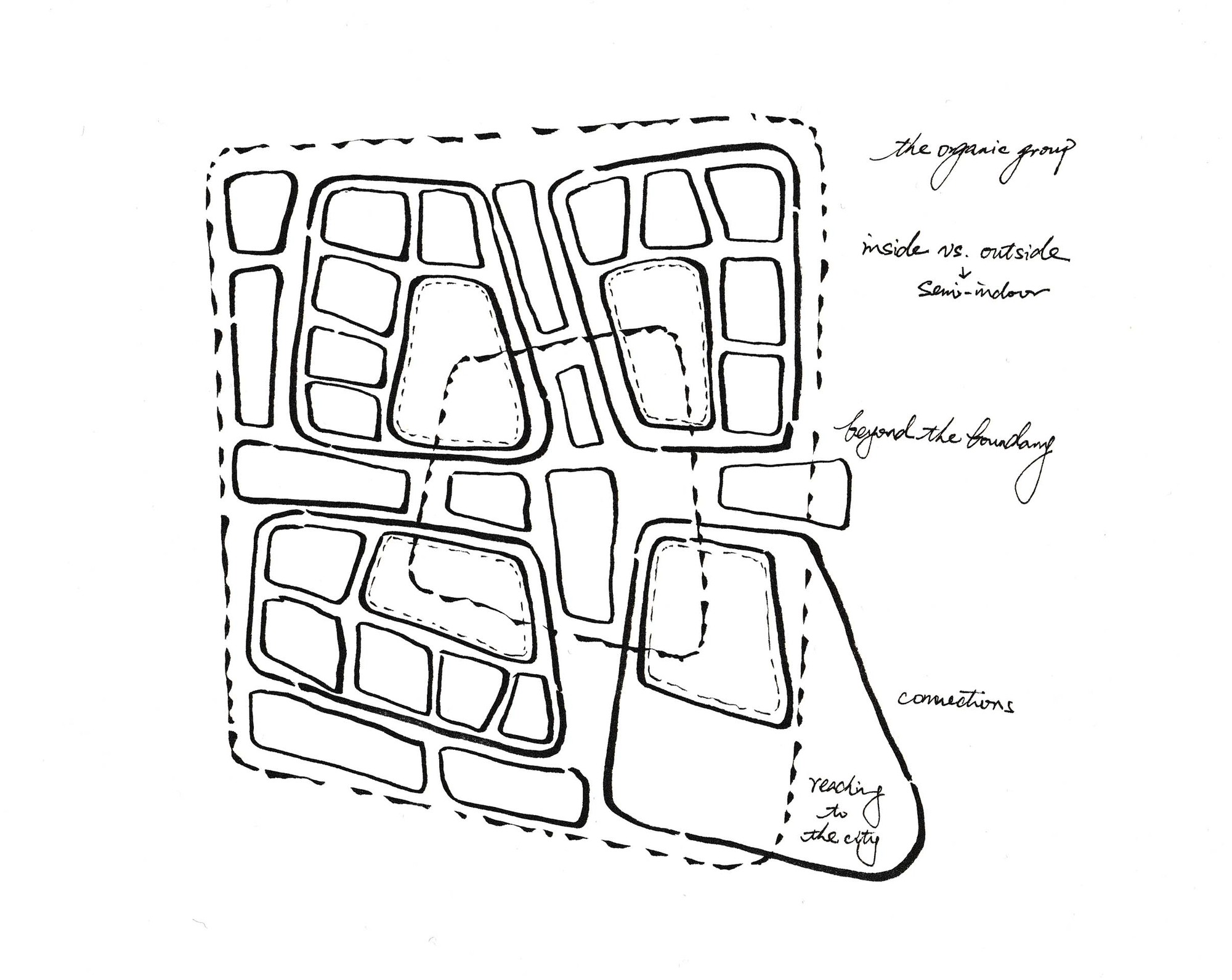 c1 -stetch-cells.jpg