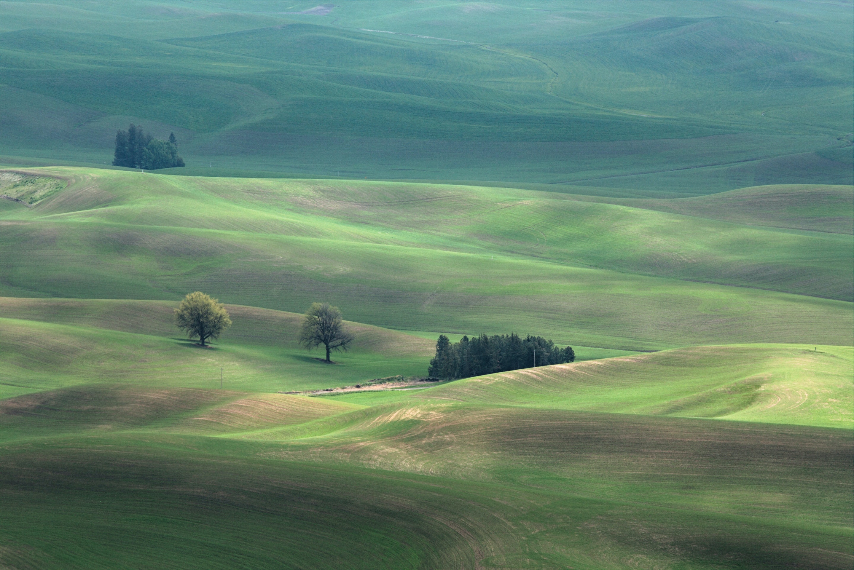 photo-of-green-grass-field-1249183.jpg