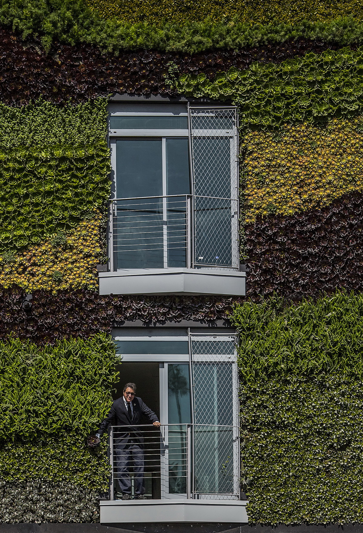 e3 _MAD_Gardenhouse_Green Wall_photo by Manolo Langis_调整大小.jpg