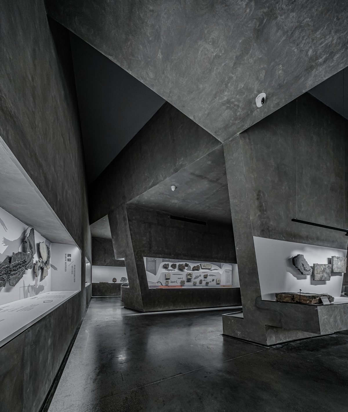 03.exhibition-114 ©Atelier Alter Architects 时境建筑_调整大小.jpg