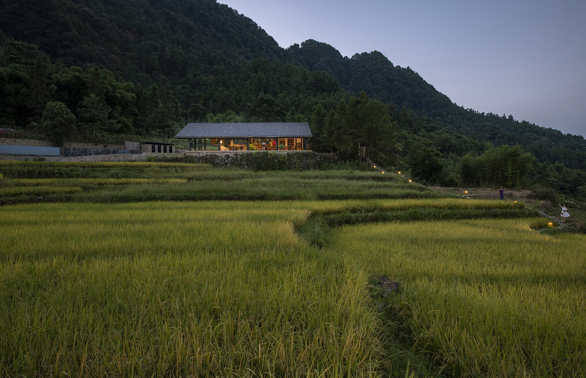 r1 稻田中的小径连接书吧和餐厅（摄影：金伟琦） Path in paddy field connects book bar and restaurant (Photo by Jin Wei Qi)_调整大小.jpg