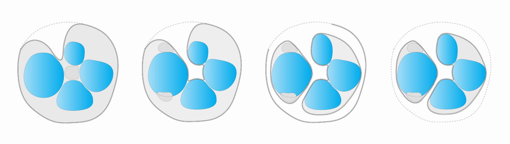 蒙特利尔圆顶生物科学博物馆 / Kanva