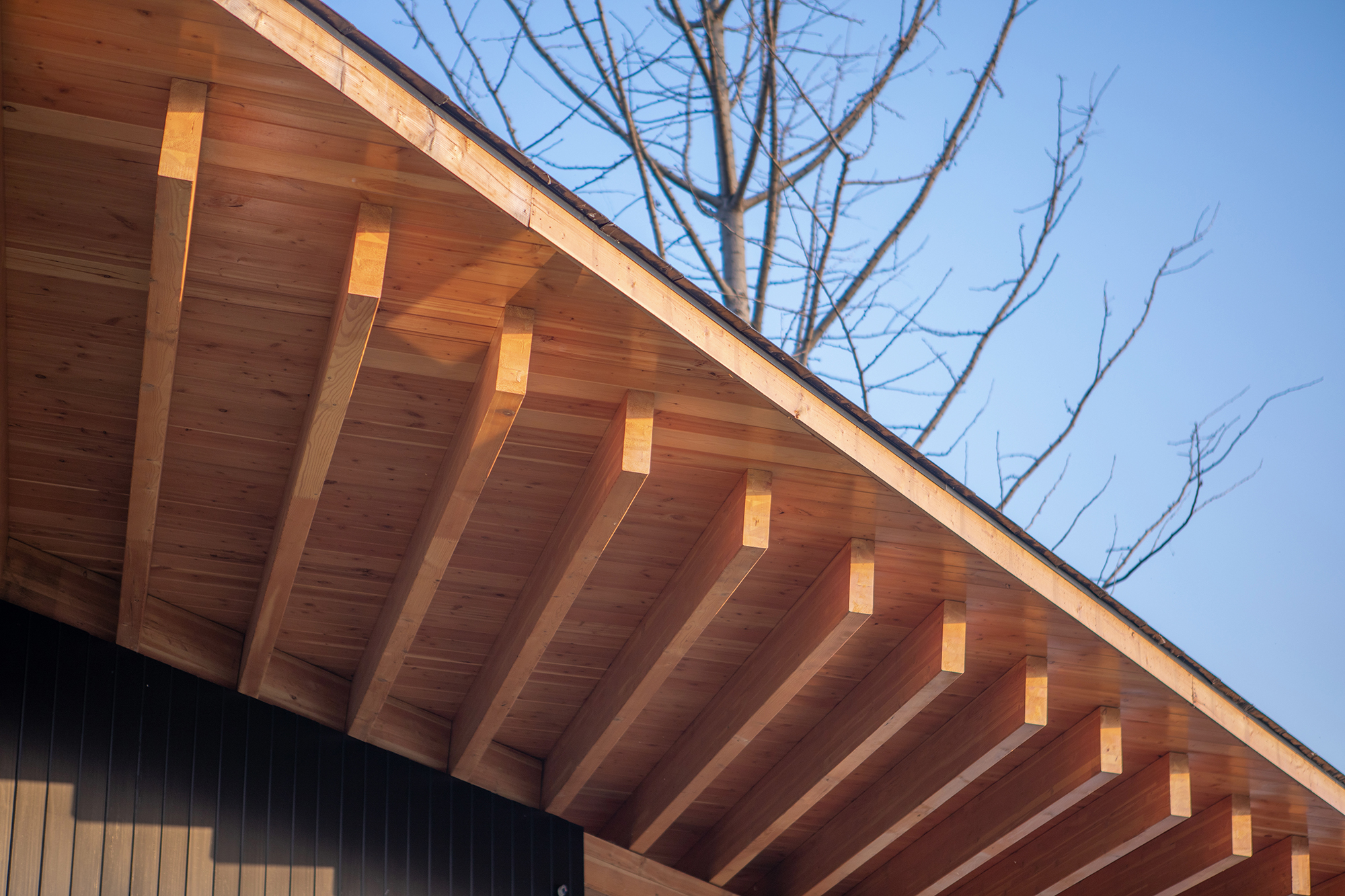 30.出檐木结构屋顶细节Details of the roof with overhanging eaves©嵒建筑-赵赛.jpg