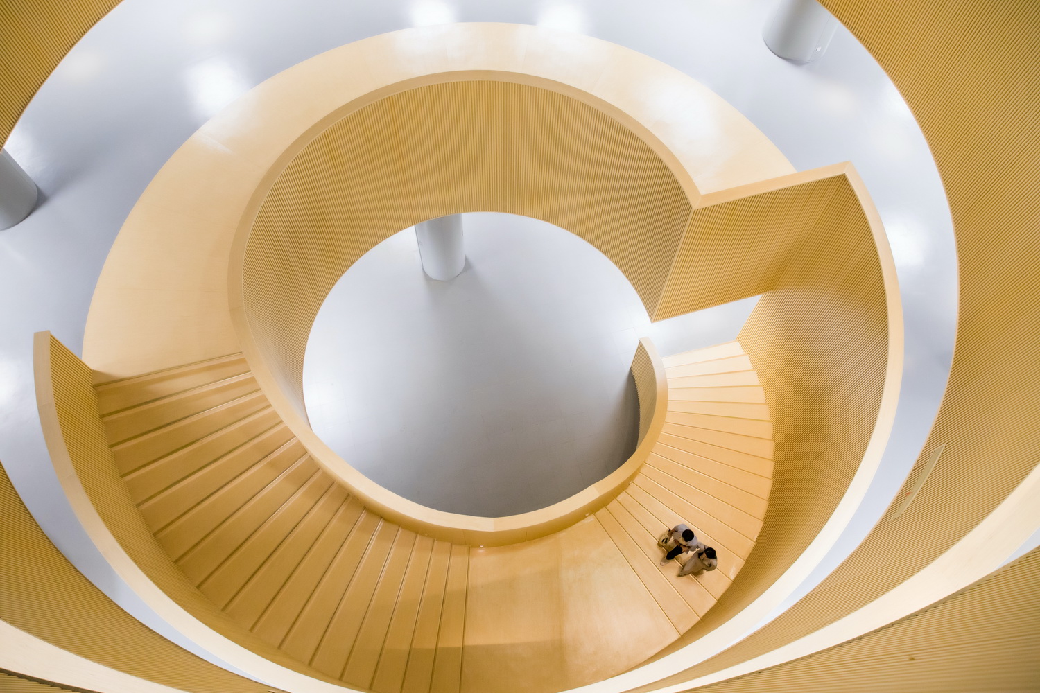 调整大小 04_Spiral staircase中庭旋转楼梯_P_Li Zhihui 李志辉.jpg