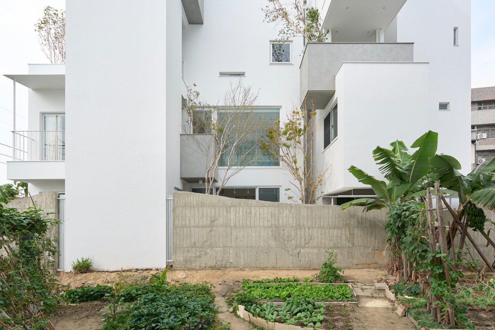 山谷之家 / Soar Design Studio + Ray Architects